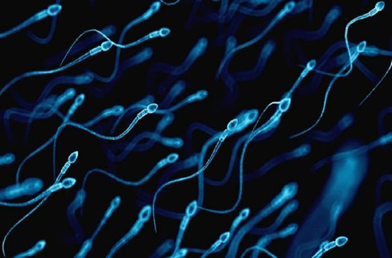 Rối loạn cương dương kèm theo tình trạng tinh trùng yếu sẽ ảnh hưởng đến khả năng sinh sản