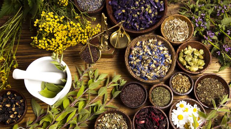 bài thuốc dân gian chữa thoát vị đĩa đệm