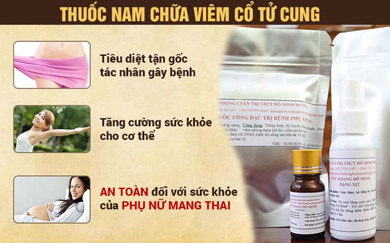 Bài thuốc nam chữa viêm cổ tử cung của nhà thuốc Đỗ Minh Đường