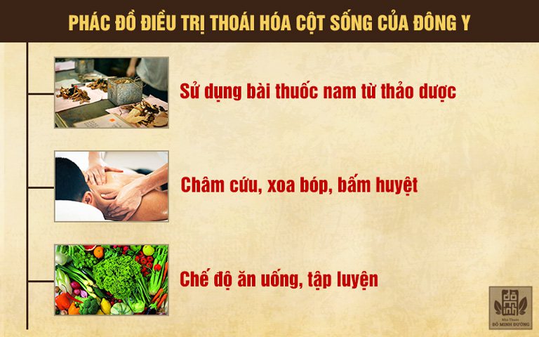 Phác đồ điều trị thoái hóa của Đông y