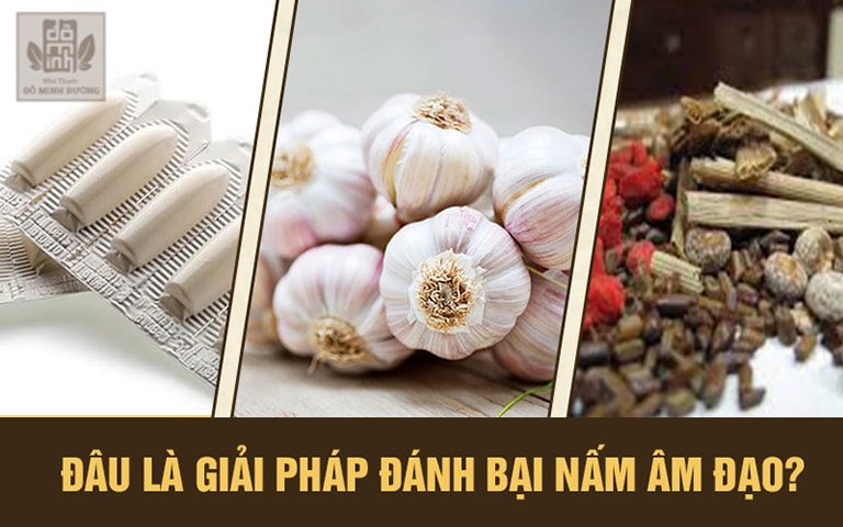 Hỗ trợ chữa nấm âm đạo hiệu quả