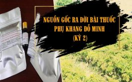 Nguồn gốc ra đời bài thuốc Phụ khang Đỗ Minh kỳ 2