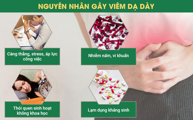 nguyên nhân gây viêm dạ dày