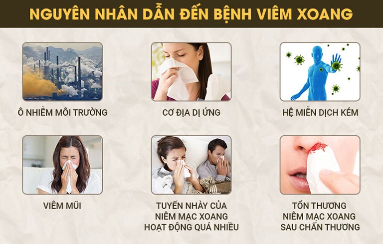 Nguyên nhân gây viêm mũi dị ứng thường gặp