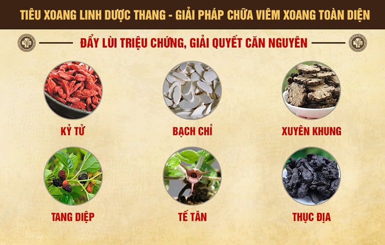 Tiêu xoang linh dược thang kết hợp nhiều thảo dược giúp trị bệnh từ gốc đến ngọn