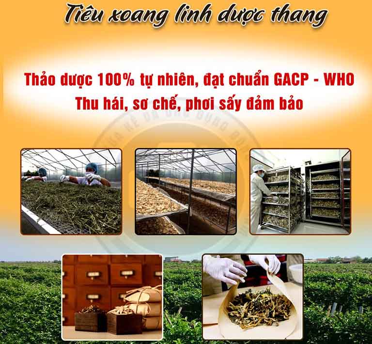 Thành phần bài thuốc hoàn toàn từ thảo dược thiên nhiên