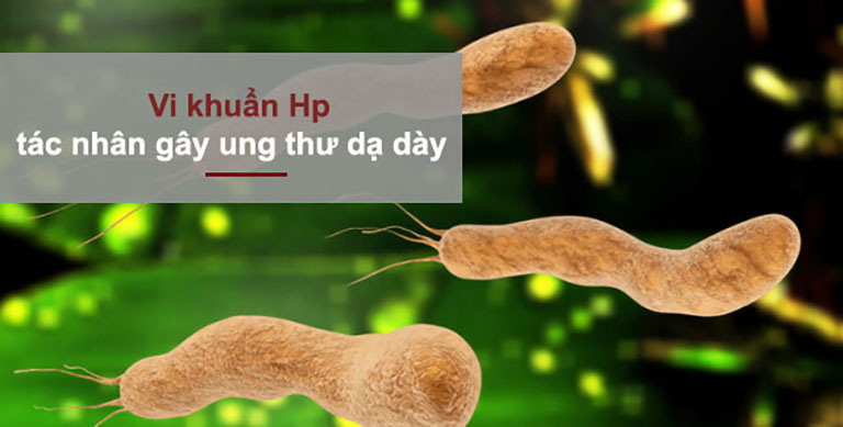 Diệt vi khuẩn HP phòng chống ung thư dạ dày