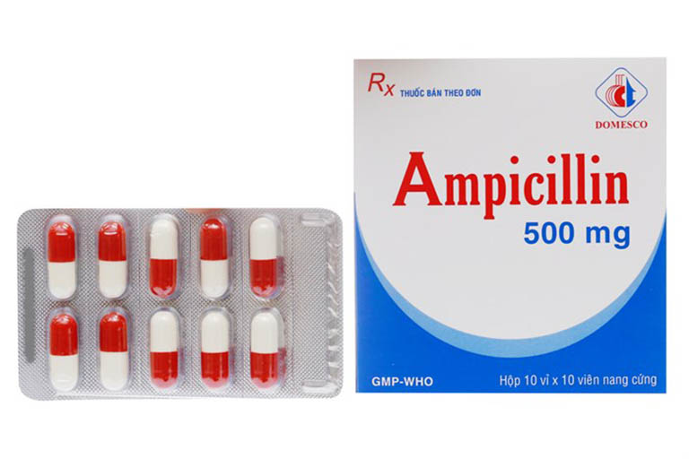 Chỉ định của thuốc Ampicillin 500mg
