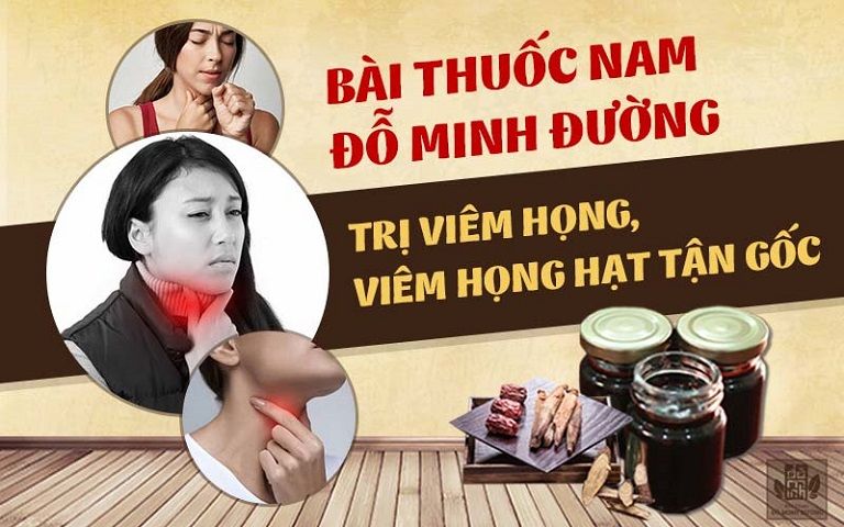 Bài thuốc nam gia truyền chữa viêm họng của Đỗ Minh Đường