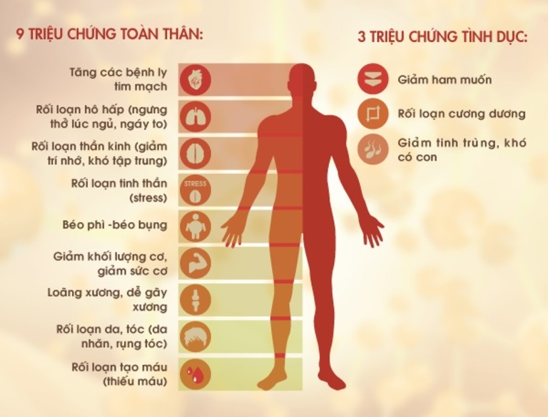 Testosterone  suy yếu tác động đến rất nhiều cơ quan và bộ phận