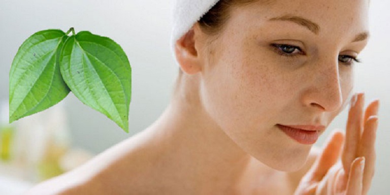 Cách trị nám da mặt bằng láu trầu không