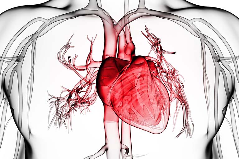 Viêm màng ngoài tim gây đau nhói sau lưng trên bên phải và bên trái