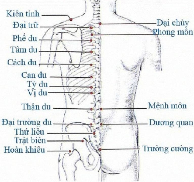 Một số huyệt đạo ở thắt lưng và mông chữa đau thần kinh tọa.