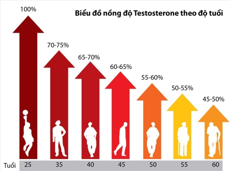 Suy giảm testosterone theo tuổi tác là quá trình sinh lý tự nhiên mà bất kỳ người đàn ông nào cũng phải trải qua.