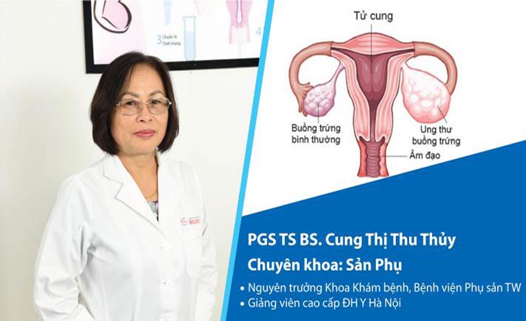 Phó Giáo sư, Tiến sĩ, bác sĩ Cung Thị Thu Thủy