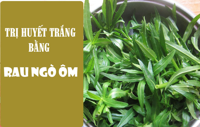 Trị huyết trắng bằng rau ngò ôm có thực sự hiệu quả như nhiều người nghĩ
