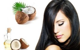 Cách trị tóc bạc sớm bằng dầu dừa