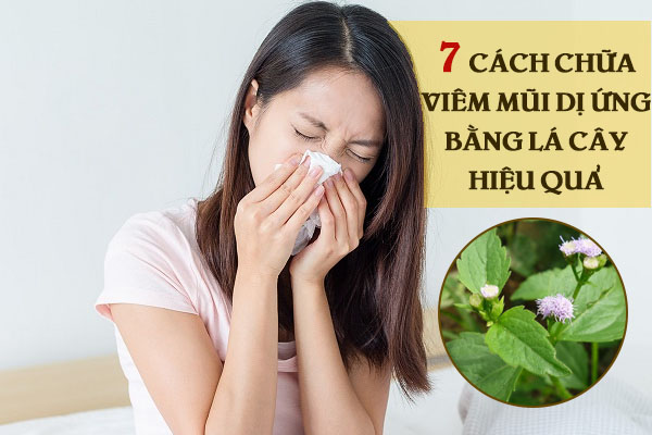Chữa viêm mũi dị ứng bằng lá cây
