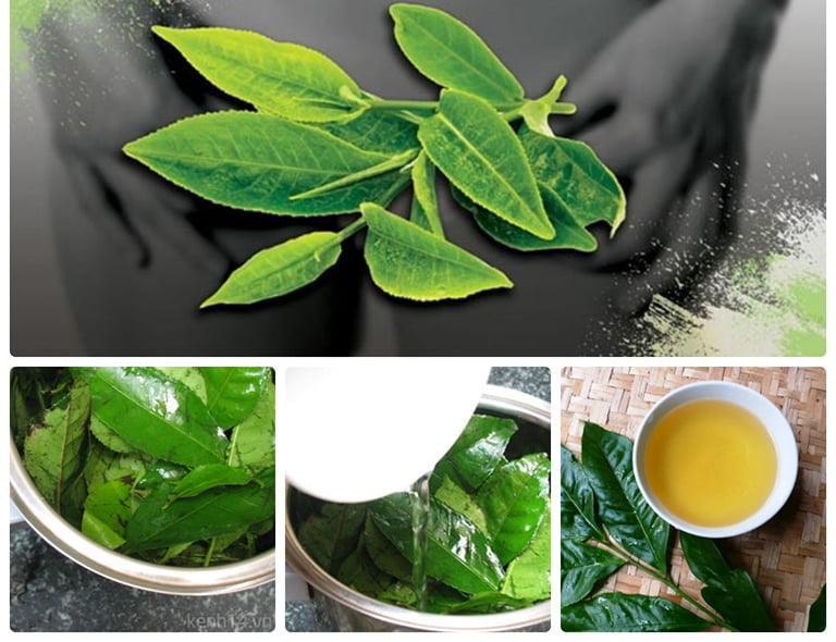 Cách chữa bệnh phụ khoa bằng trà xanh