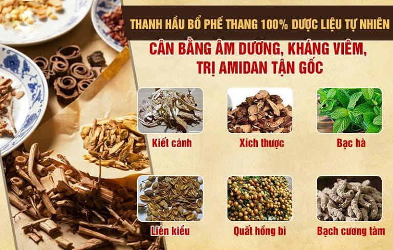 Thành phần bài thuốc Thanh hầu Bổ phế thang chữa viêm họng mãn tính