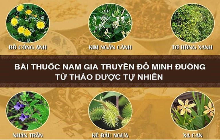 Thành phần bài thuốc nam gia truyền Đỗ Minh Đường