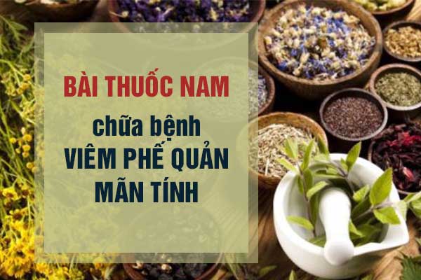 Chữa viêm phế quản mãn tính bằng thuốc nam