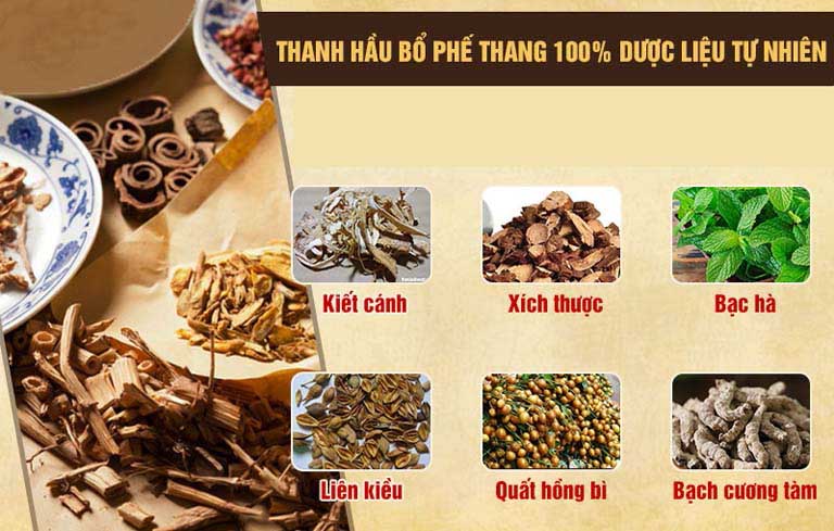 Các dược liệu chính trong bài thuốc Thanh hầu bổ phế thang