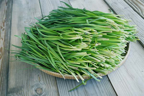 Chữa viêm tai giữa bằng lá hẹ