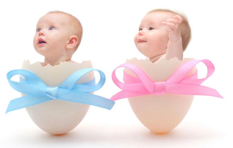 Cách tính ngày rụng trứng để sinh con trai