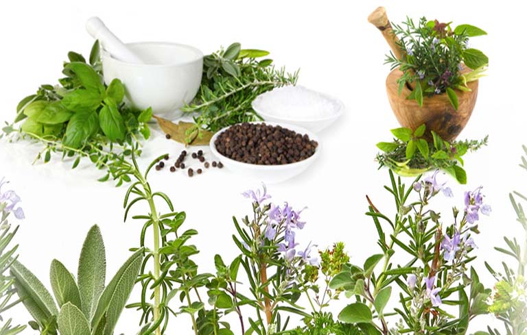 Chữa viêm thanh quản bằng thuốc nam