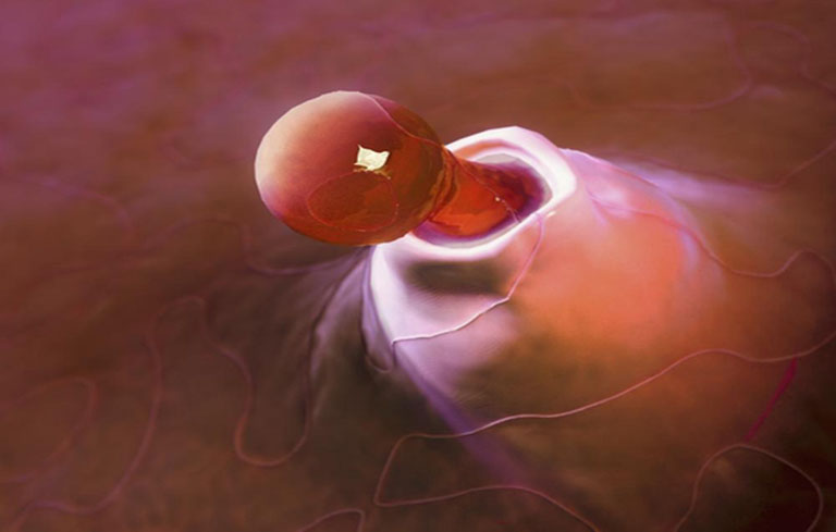 Quá trình rụng trứng bị gián đoạn ảnh hưởng đến khả năng mang thai