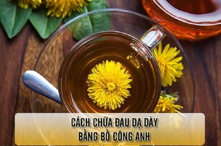 Sử dụng nước trà bồ công anh để trị đau dạ dày