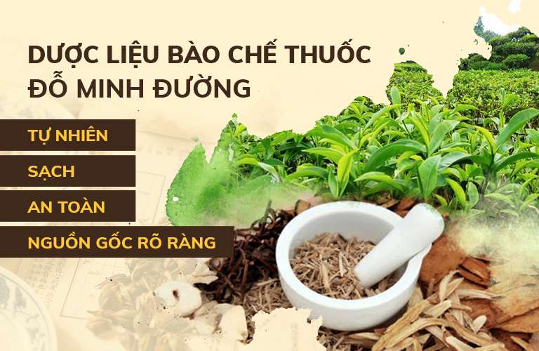 Dược liệu bào chế thuốc SInh Lý Nam Đỗ Minh chuẩn lành sạch