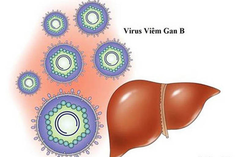 Chữa viêm gan B bằng tế bào gốc và những thông tin cần biết