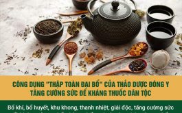 Thảo dược Đông y tăng cường sức đề kháng Thuốc dân tộc có nguồn gốc từ phương thuốc Thập toàn Đại bổ