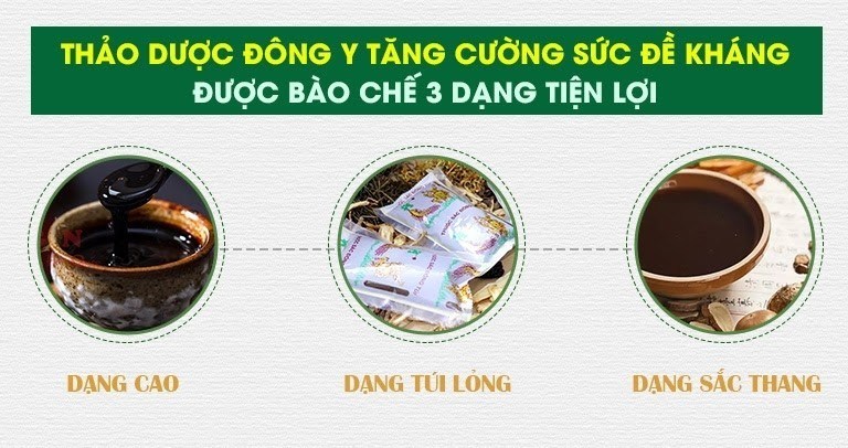 Thảo dược Đông y tăng cường sức đề kháng Thuốc dân tộc có dạng bào chế tiện lợi