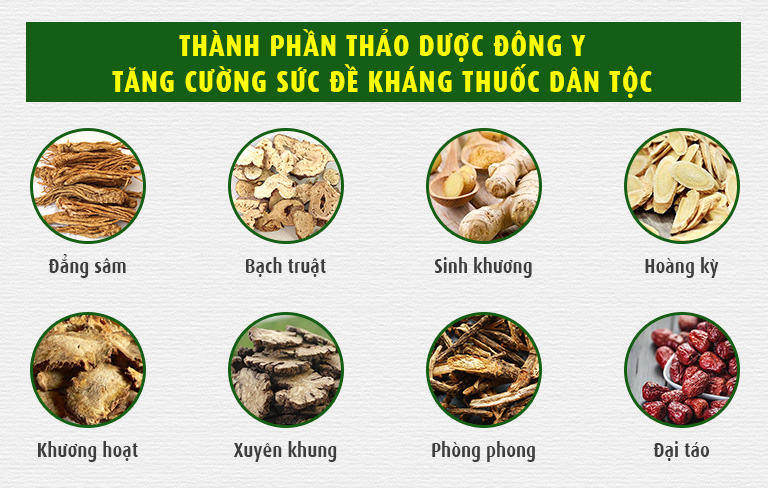 Một số vị thuốc quý khác có trong Thảo dược Đông y tăng cường sức đề kháng Thuốc dân tộc