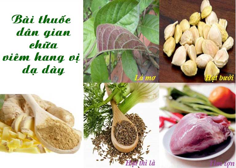 Bài thuốc dân gian chữa viêm hang vị dạ dày