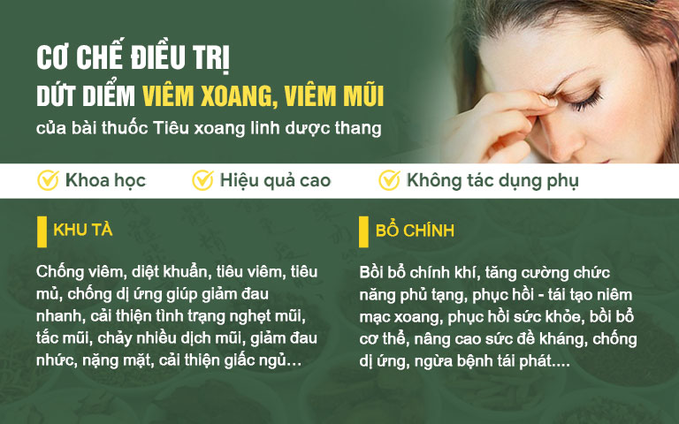 Cơ chế điều trị của bài thuốc Tiêu xoang linh dược thang