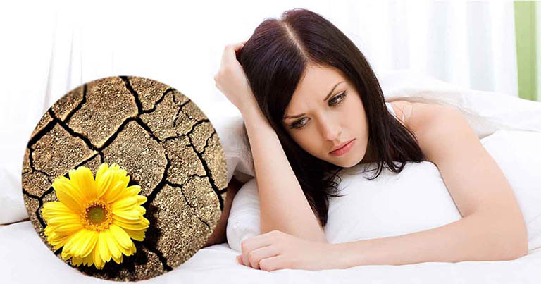 Đâu là thuốc trị vùng kín tốt cho phái nữ