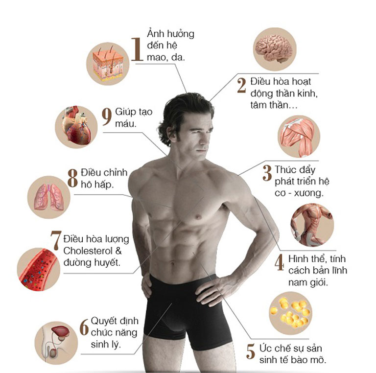 Vai trò của testosterone đối với cơ thể nam giới