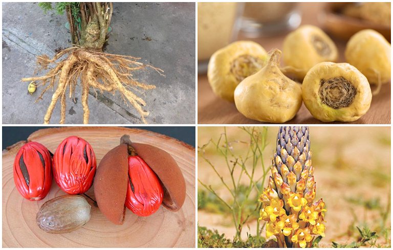 Thảo dược tăng cường sinh lý nữ