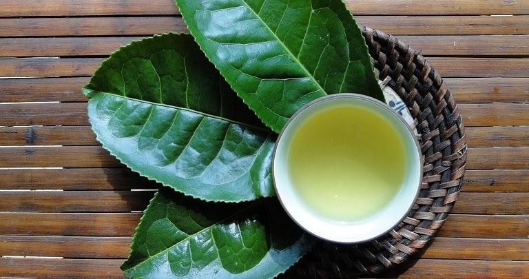 Uống nước trà xanh pha loãng cũng có tác dụng giải độc, mát gan
