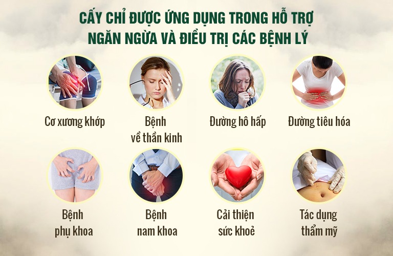 Cấy chỉ chữa bệnh tại TT Đông phương Y pháp