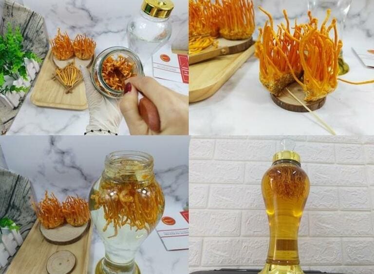 Rượu đông trùng hạ thảo - Công dụng và các cách ngâm rượu đông trùng thơm ngon nhất