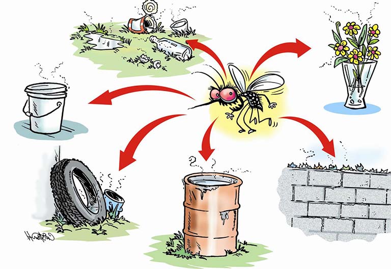 Loại bỏ nơi trú đậu và sinh sản của muỗi, diệt bọ gậy/ lăng quăng