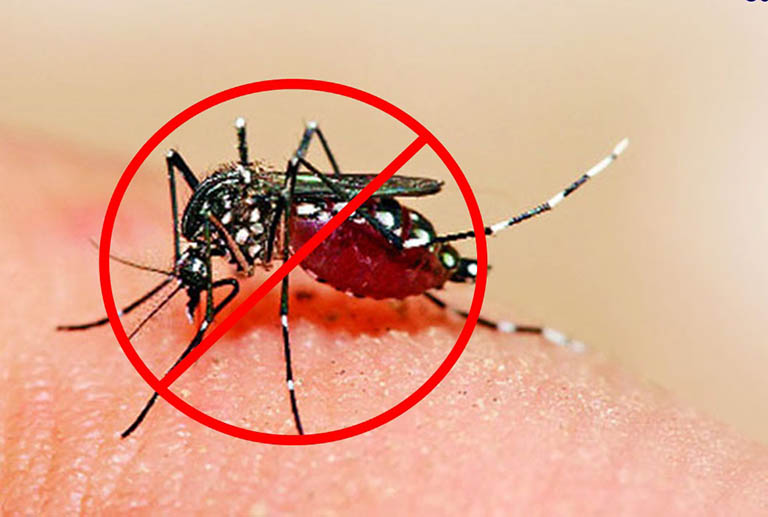 Cách phòng chống bệnh sốt xuất huyết ai cũng nên biết