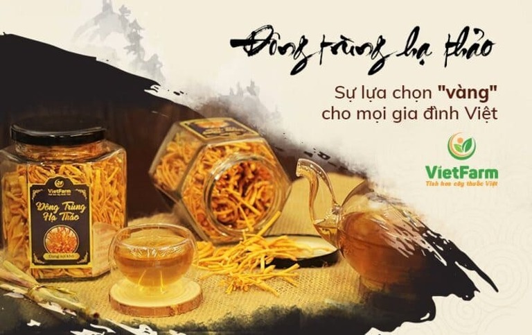 Đông trùng hạ thảo Vietfarm, một thương hiệu nổi tiếng với đa dạng các loại sản phẩm tại Việt Nam
