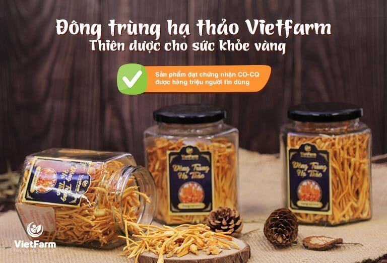 Đông trùng khô Vietfarm được sấy thăng hoa bằng công nghệ Nhật Bản giữ lại được tối đa tinh túy tự nhiên