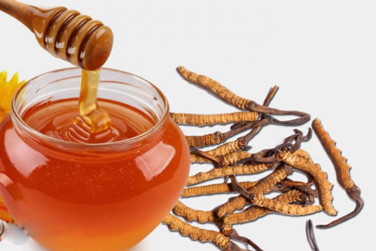 Mật ong nguyên chất được sử dụng ngâm với đông trùng nguyên con, dưỡng chất cho sức khỏe